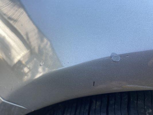 Young Chevrolet Cadillac