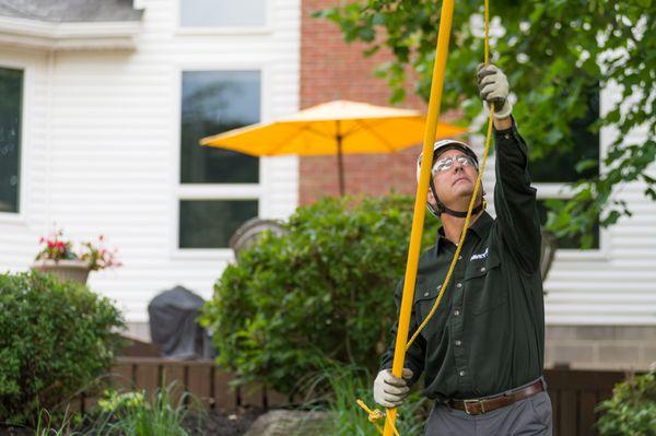 Davey Tree Expert Co