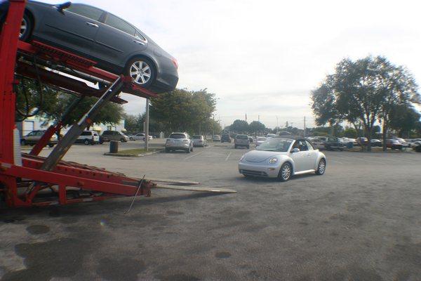 Car Transport Service San Diego - Call 619-331-3727 - car shipping quote at https://car-transport-san-diego-ca.weebly.com/