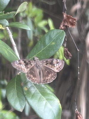 Pine Jog Environmental Education Center