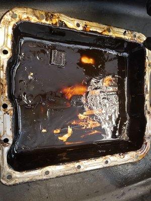 Unleashed Automotive Performance