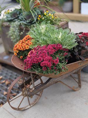 Clarke's Garden