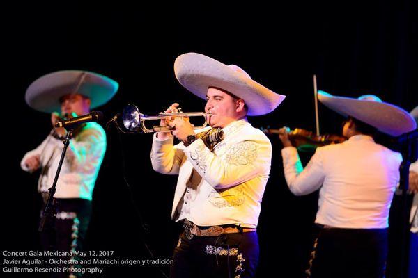 Mariachi Origen y Tradición