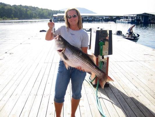 Terri got this on July fourth, 2007