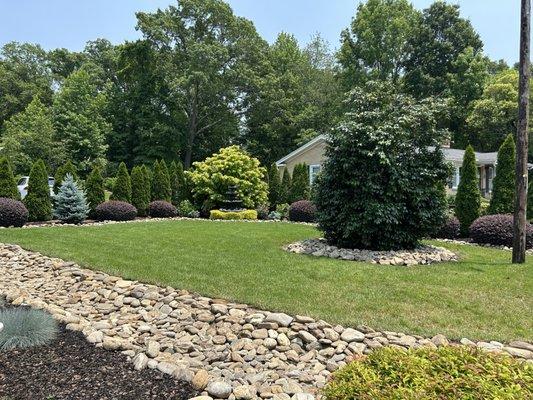 Hampton Woods Dental