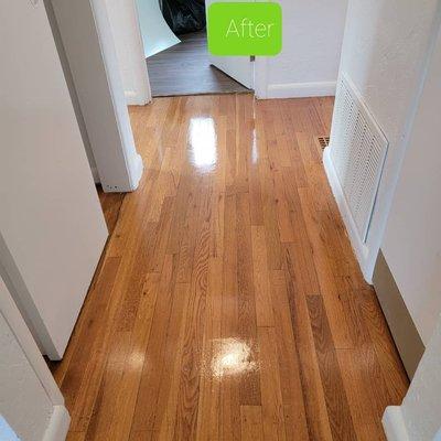 Root Cleaning Solutions