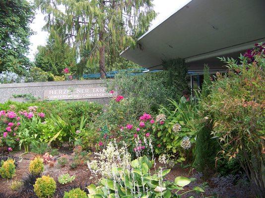 Herzl-Ner Tamid Conservative Congregation