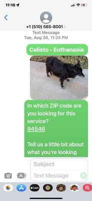 Initial text message sent.