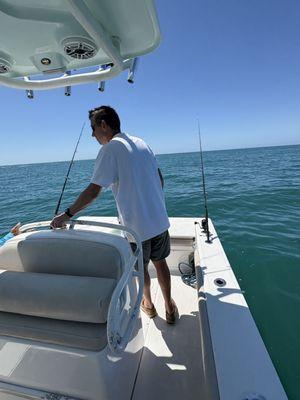 Tarpon jumping (trust me)