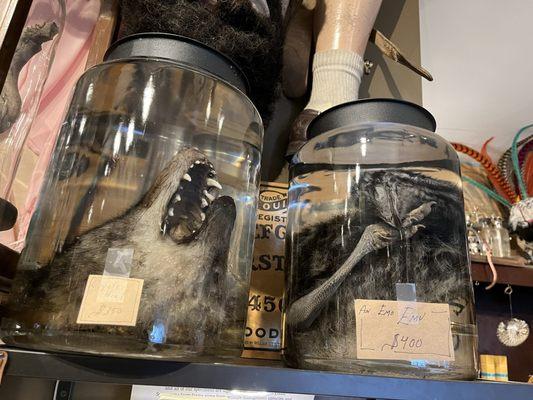 coyote head and an emo emu!