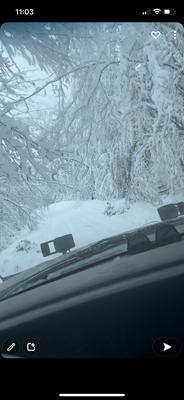 Hometown concrete and tree service