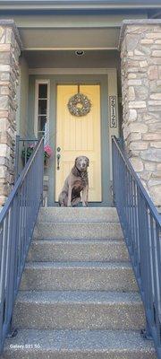 @dear_abby_the_labby