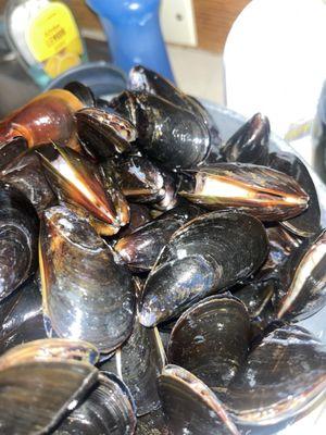 Glidden's Island Seafood