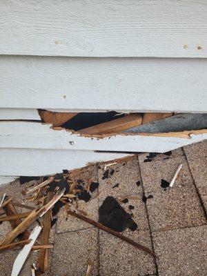 Gregg Wireman Handyman Services Company
