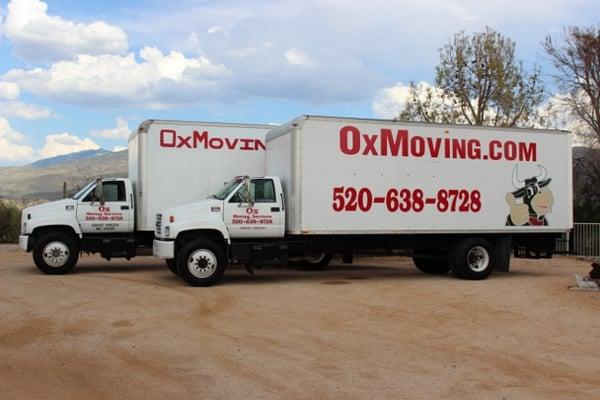 Ox Moving Services