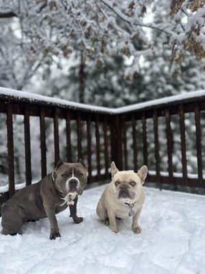 Claremont Veterinary Hospital