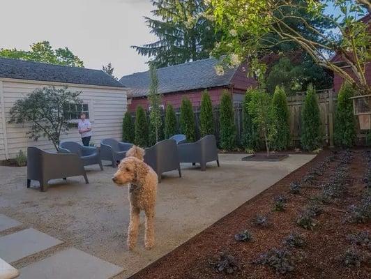 Precision Landscape Services Inc