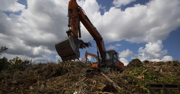 Top Notch Property Maintenance