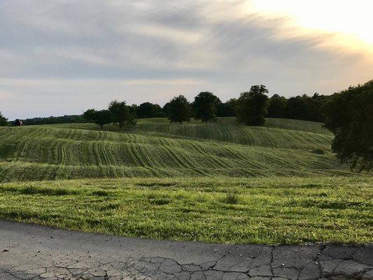 John's Lawn & Landscaping LLC