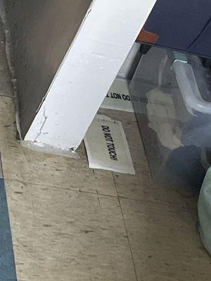 The non catching mouse traps