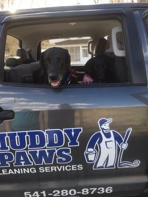 Muddy Paws Cleaning Services