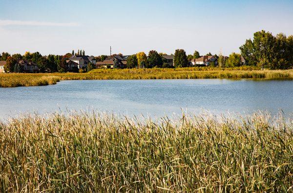 Alpine Prairie Village