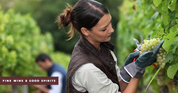 Fine Wine & Good Spirits - Licensee Service Center