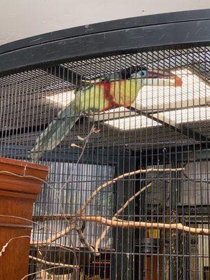 Reptile Haven & Exotic Birds