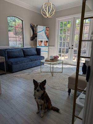 Owners dog and session greeter (she's so cute)