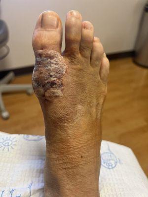 Synergy Specialists Medical Group