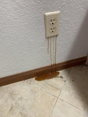 Sun City House Check