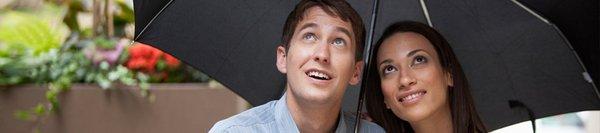 Jean Curry - Shelter Insurance