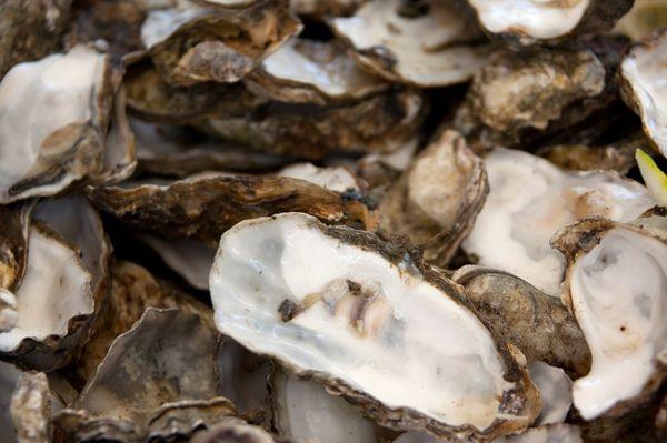 Fish And Seafood Market