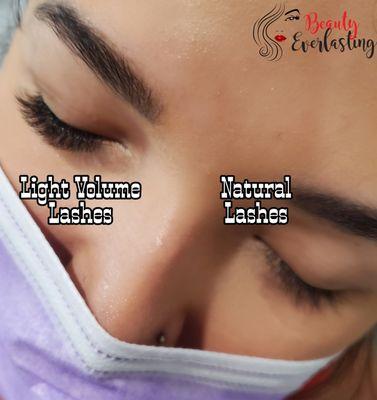 Volume Lashes