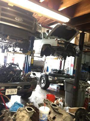 Redline Diesel Performance