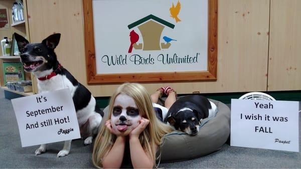 Dog Days of Summer Sale.  September 12 - September 15, 2013.  Falling prices for the hot weather.  Hurry in.  Limited time!