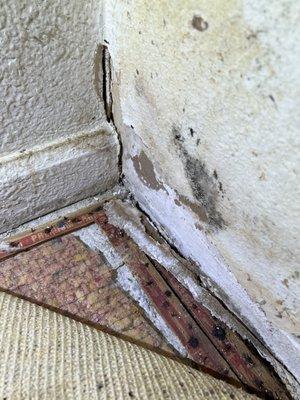 Healthy Building Science