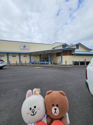 KTA Super Stores - Downtown