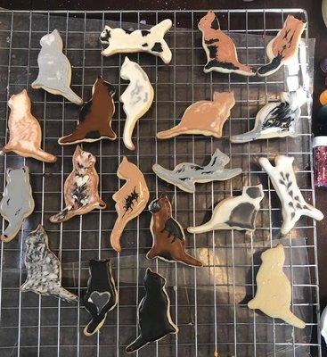 Raindrop Confections