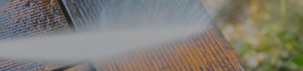 Chosen Elite Painting