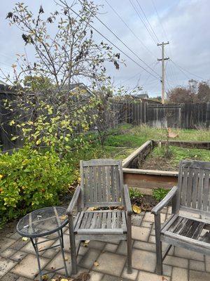 Before and after a clean up and setting gopher traps