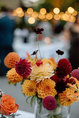 Photo Credit: Alyeska Roman Photography