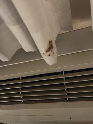 Poop stain on the curtain