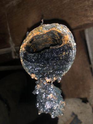 Elder & Young Plumbing