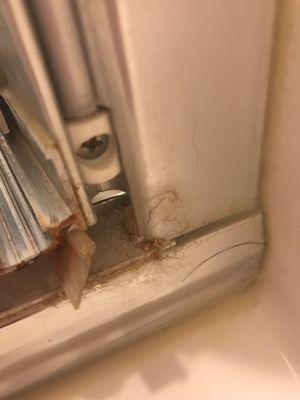 Adalicia's House cleaning