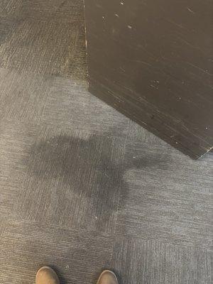 Dirty carpets everywhere