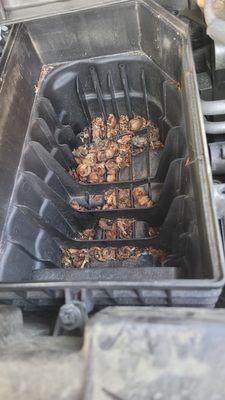 Kelley Sales & Service