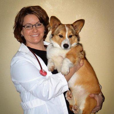 Companion Veterinary Clinic