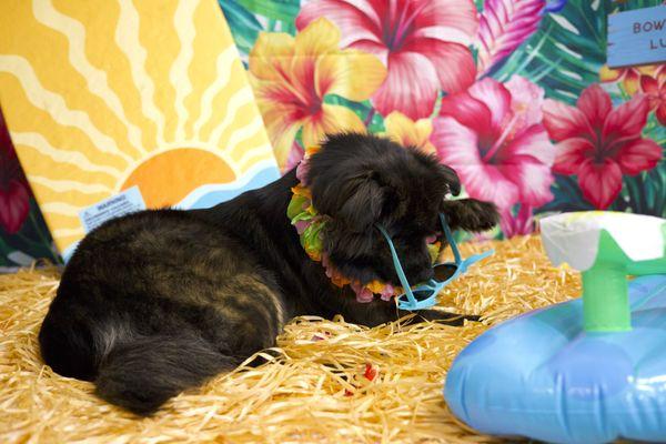 Summer Bash Photo Shoot