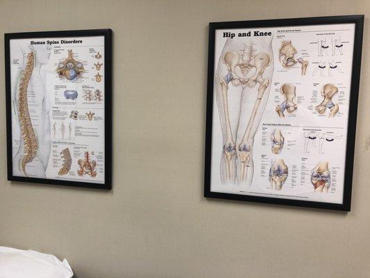 Biosport Orthopaedic and Sports Medicine Associates